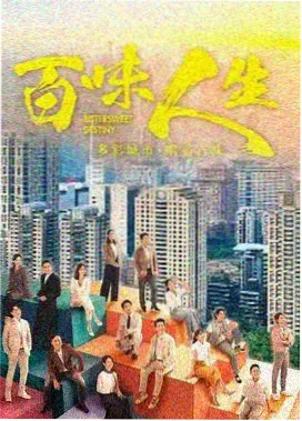 雾港年鉴剧集封面
